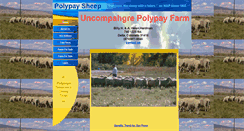 Desktop Screenshot of polypays4u.com
